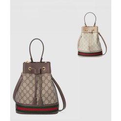 스몰 GG 버킷백 550621