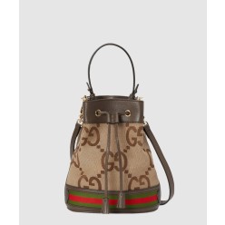 스몰 GG 버킷백 550621