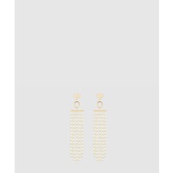 크리스챤디올 귀걸이 E2329