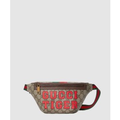 베스트리에 벨트백 675181