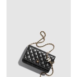 체인 지갑 AP3938