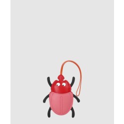 Lovely  Beetle 백참