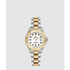 씨 드웰러 29 169623