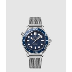 씨마스터 다이버 300M 42