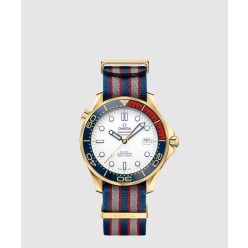 씨마스터 다이버 300 41