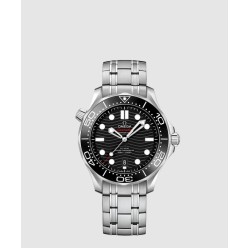 씨마스터 다이버 300 42