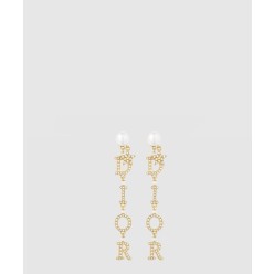 Evolution 귀걸이   E1457