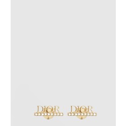 Evolution 귀걸이  E1456