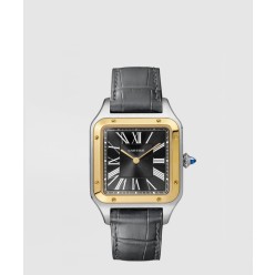 산토스 뒤몽 43.5 W2SA0015