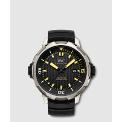 아쿠아타이머 오토매틱  46 IW358001