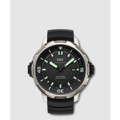 아쿠아타이머 오토매틱 46 IW358002