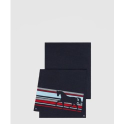 ALLer retour Clanequstre muffler