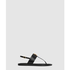 림피아 트리옹프 통 359543