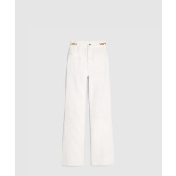 제인 플레어 진