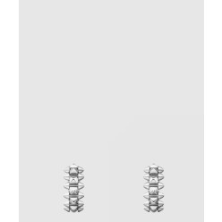 클래쉬 드 이어링 B8301521