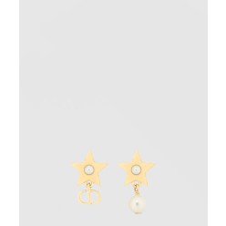 Lucky Dior 귀걸이 E3903