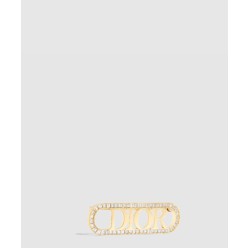 evolution 브로치 V1428