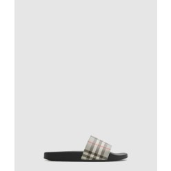 체크 슬라이드 81132621