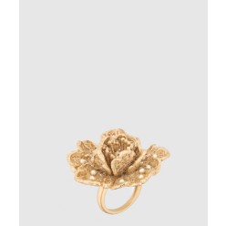 Jardin de  반지 R2595