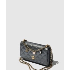 체인 지갑 AP4537