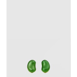 빈 디자인 이어링