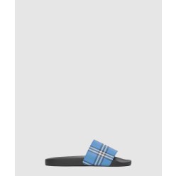 체크 슬라이드 803989